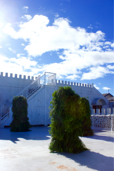img_1586.png