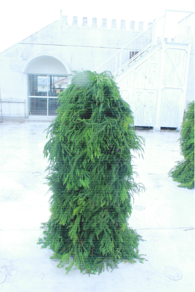 img_1434.png
