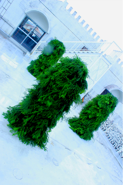 img_1433.png